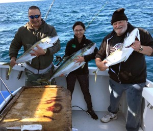 Bay-of-Islands-Fishing-Experiences